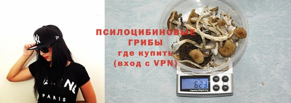 гидра Алексеевка
