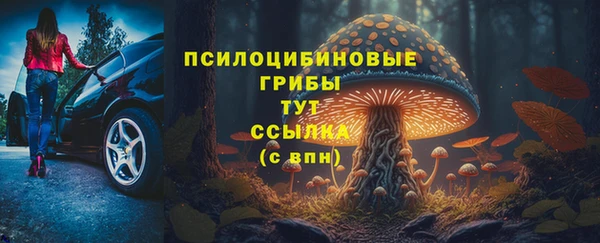 a pvp Алексин