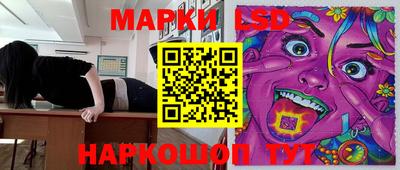 стафф Владимир