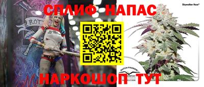 стафф Владимир