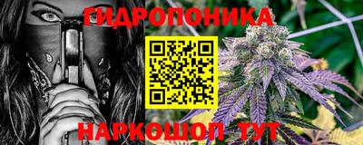 стафф Владимир