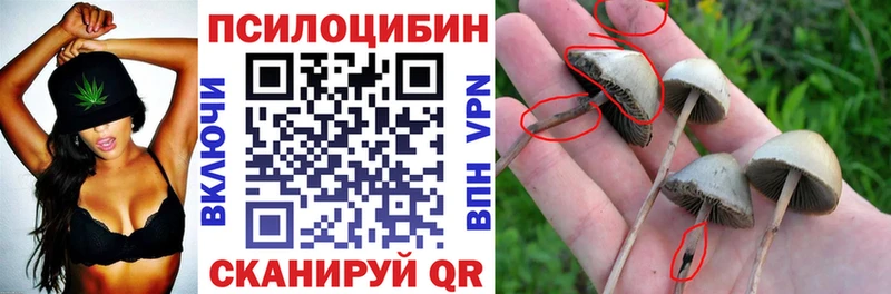 Галлюциногенные грибы мицелий  купить  сайты  Всеволожск 