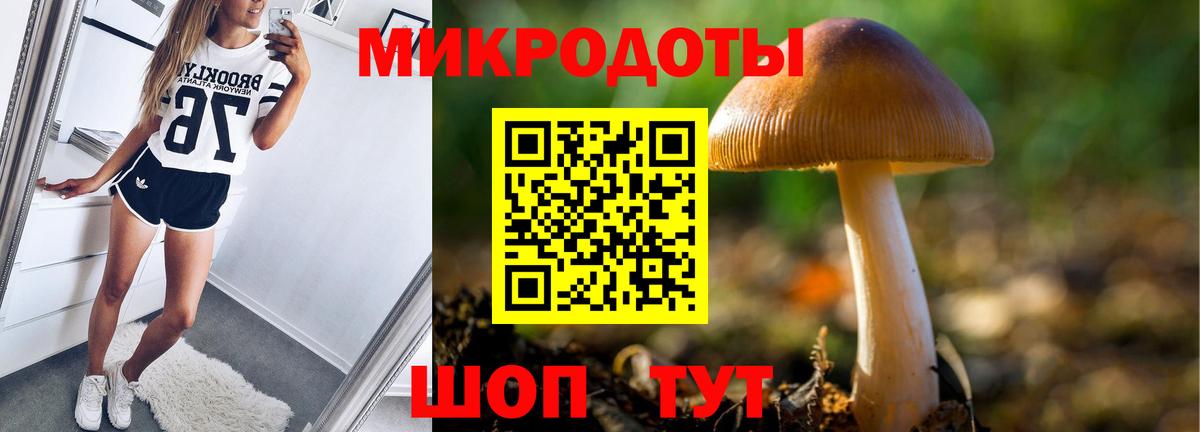 Всеволожск  Галлюциногенные грибы MAGIC MUSHROOMS  Вход с VPN 